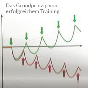 grundprinzip-erfolgreiches-training-2