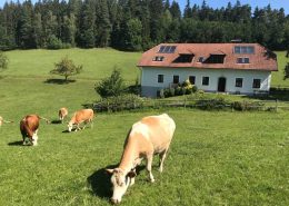 Sportmedizinisches Institut in Auberg im Mühlviertel (Oberösterreich)