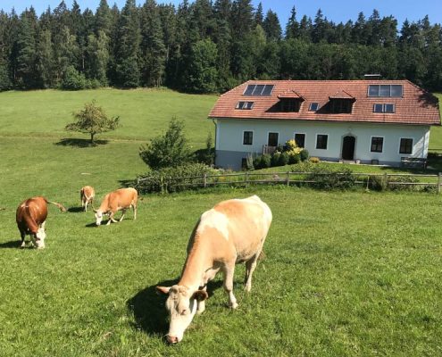 Sportmedizinisches Institut in Auberg im Mühlviertel (Oberösterreich)