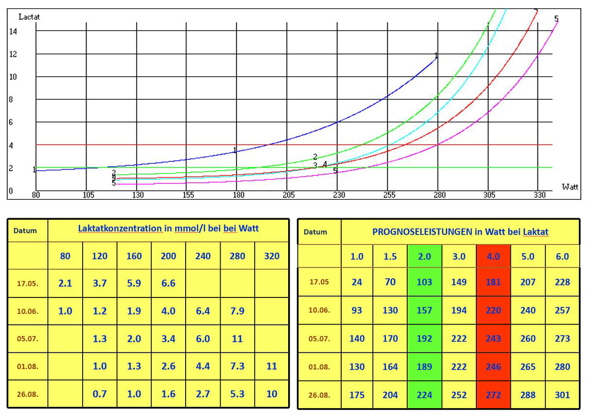 Leistungsentwicklung Laktat