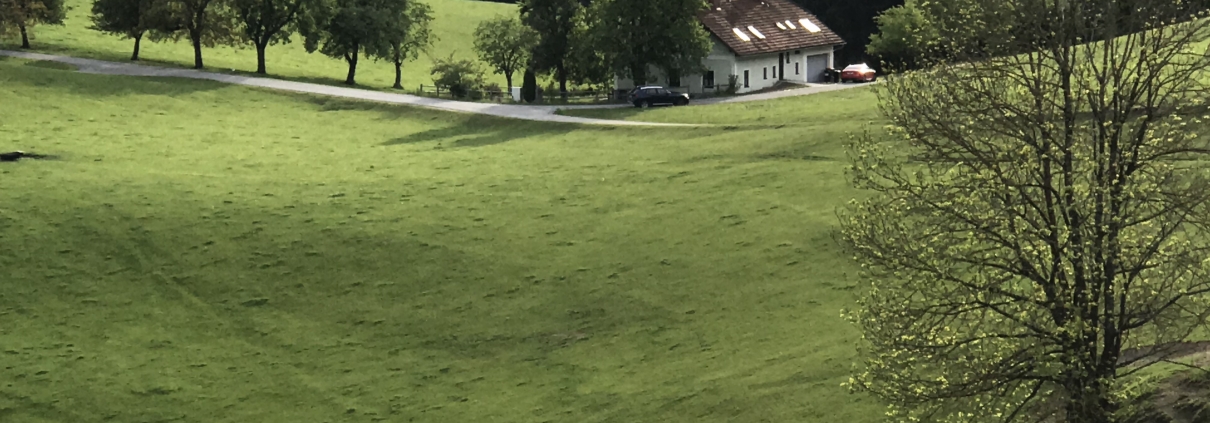 Training in der Natur im Bergmüller Institut in Auberg