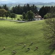 Training in der Natur im Bergmüller Institut in Auberg